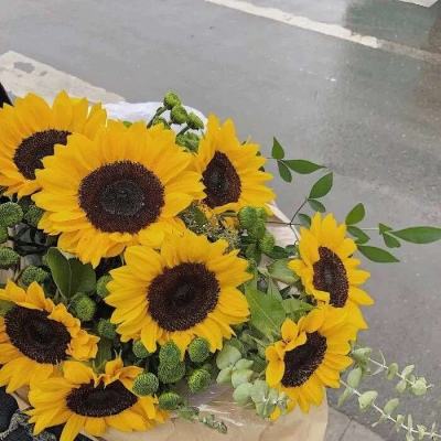 欧意在线登录-登录入口截图